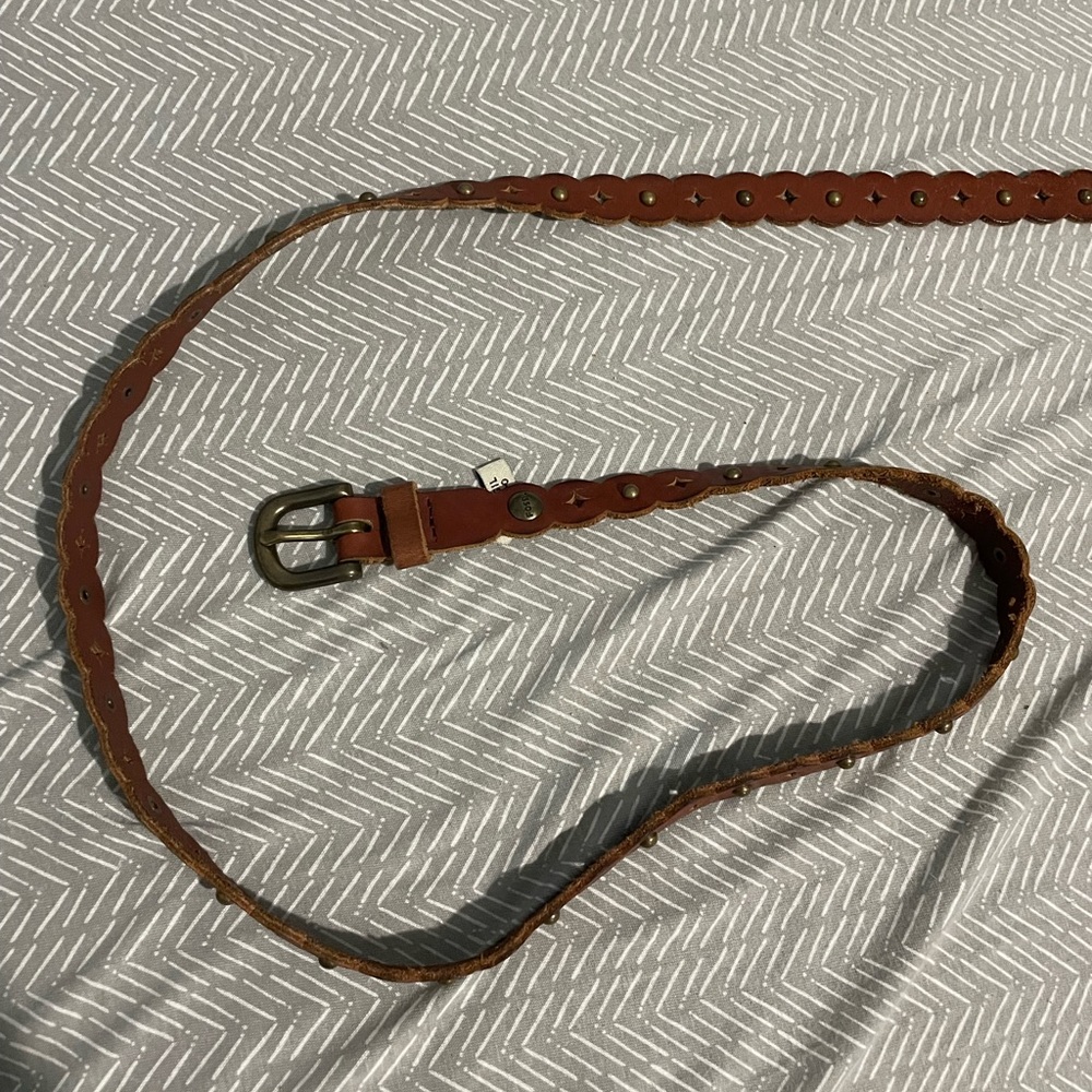 Fossil belt